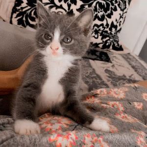 Meet your Posher, Marely